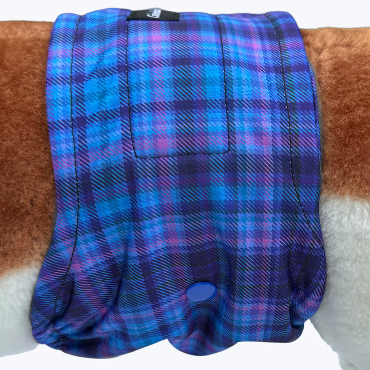 Glenndarcy Washable Dog Belly Band