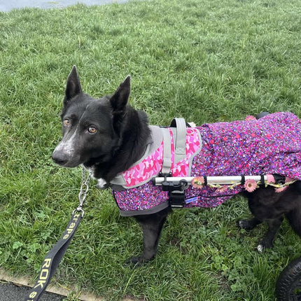 Planet Pink McTog - Microfleece Waterproof Dog Coat - Step In Poppers