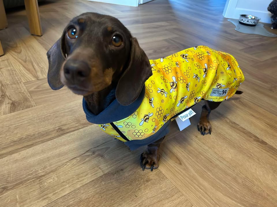 The Bee's Knees McTog - Microfleece Waterproof Dog Jacket - Step In Poppers