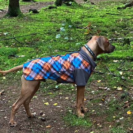 The Highlander McTog Dog Jumper - With Sleeves - Step In Poppers