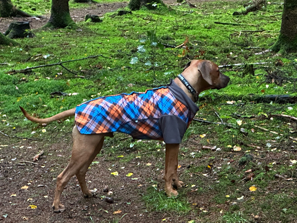 The Highlander McTog - Microfleece Waterproof Dog Jumper - With Sleeves - Step In Poppers