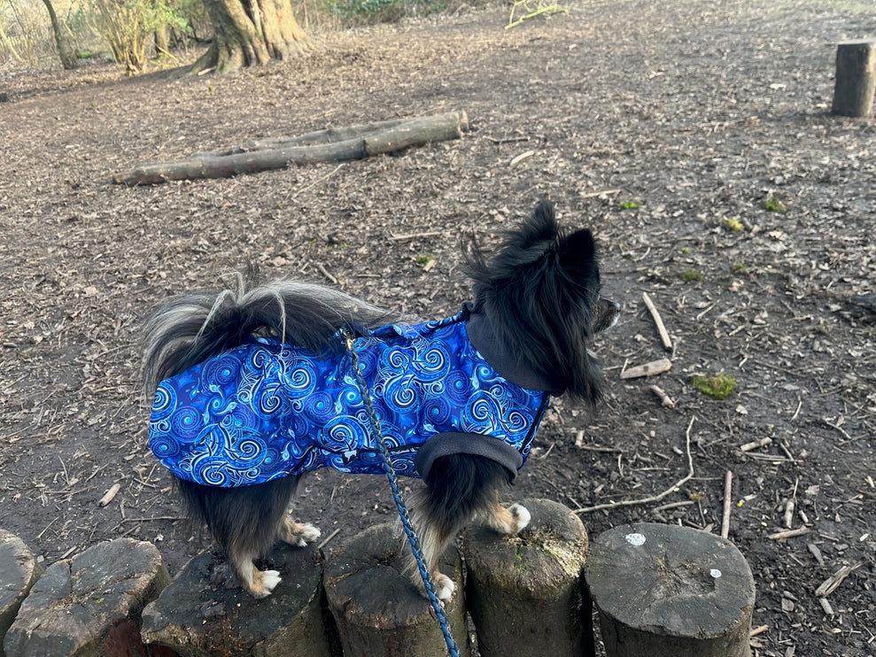 Destiny McTog - Microfleece Waterproof Dog Jumper - Step In Poppers