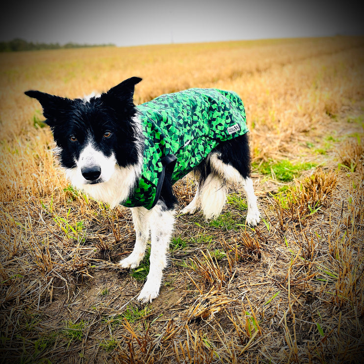 Empire McTog - Microfleece Waterproof Dog Jumper - Back Poppers