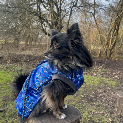 Destiny McTog - Waterproof Microfleece Dog Jumper - Step In Poppers