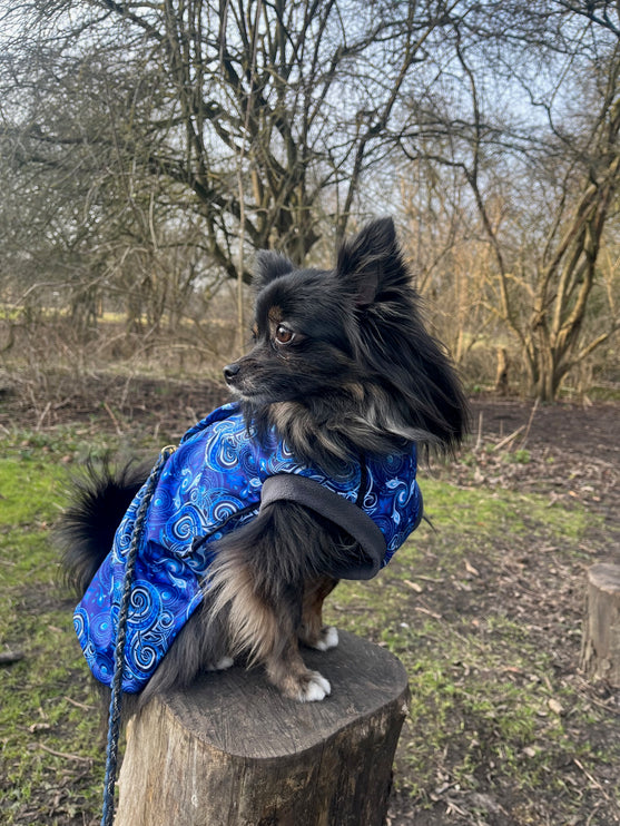 Destiny McTog - Microfleece Waterproof Dog Jumper - Step In Poppers