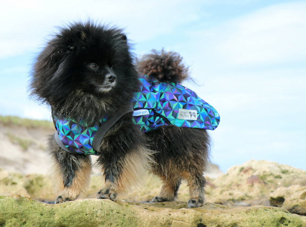 Infinity McTog - Microfleece Waterproof Dog Jumper - Step In Poppers