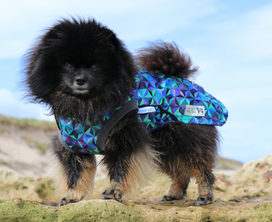 Infinity McTog - Microfleece Waterproof Dog Jumper - Step In Poppers