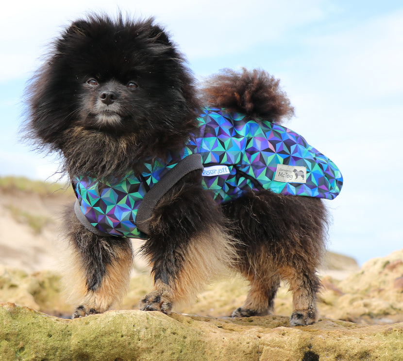 Infinity McTog - Microfleece Waterproof Dog Jumper - Step In Poppers