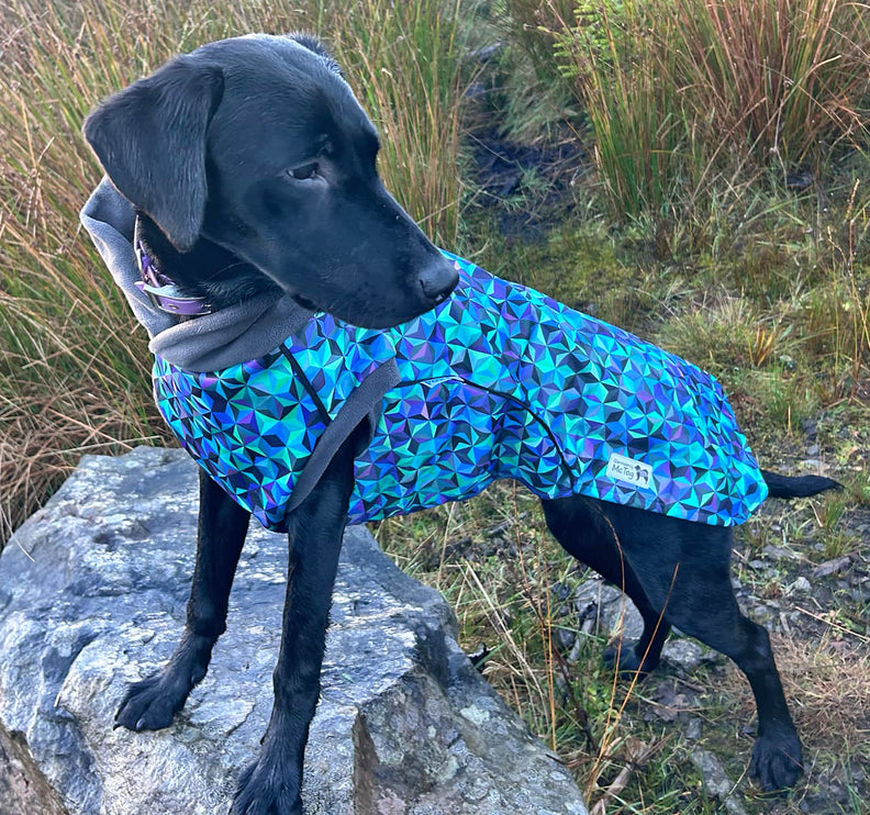 Infinity McTog - Microfleece Waterproof Dog Jumper