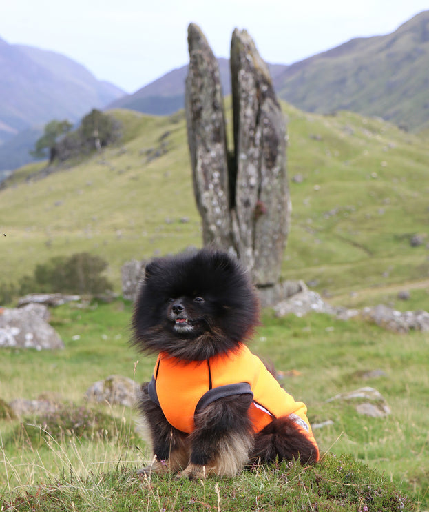 Jaffa McTog - Double Layer Microfleece Waterproof Dog Jacket - Step In Poppers