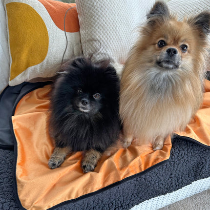 Glenndarcy Waterproof Blanket