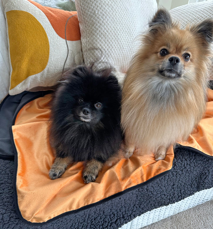 Glenndarcy Waterproof Blanket