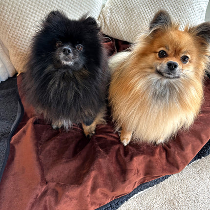 Glenndarcy Waterproof Blanket
