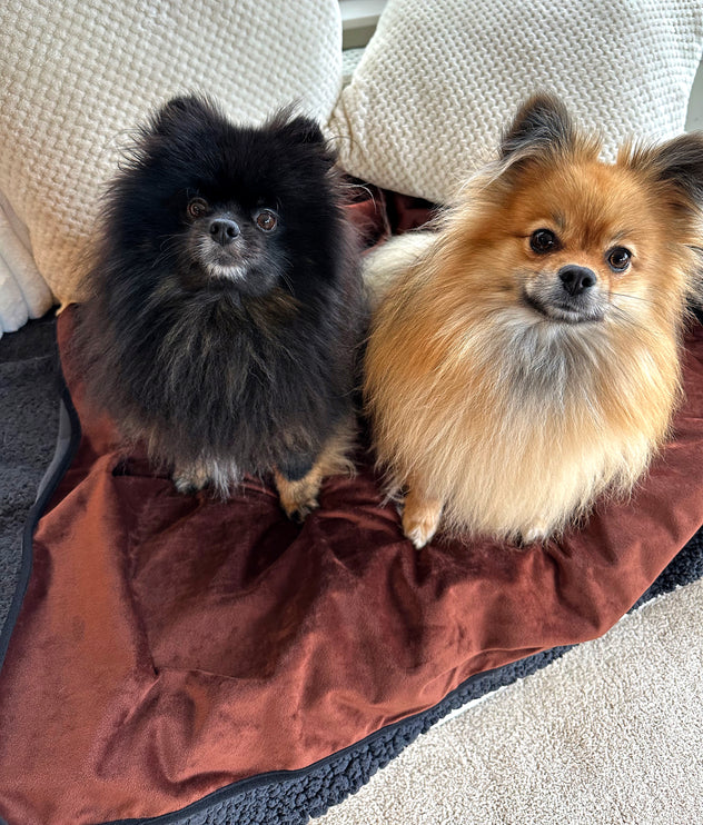 Glenndarcy Waterproof Blanket