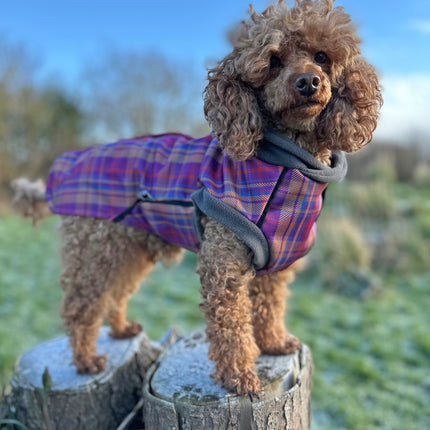 Nevis McTog - Waterproof Microfleece Dog Jumper - Step In Poppers
