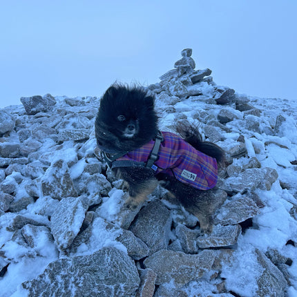 Nevis McTog - Waterproof Microfleece Dog Jumper - Step In Poppers