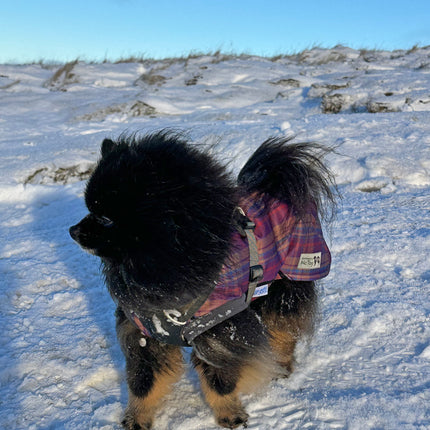 Nevis McTog - Waterproof Microfleece Dog Jumper - Step In Poppers