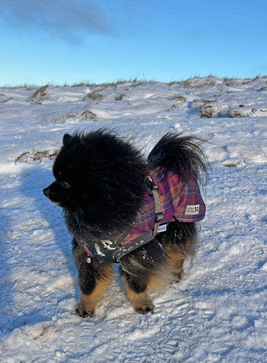 Nevis McTog - Microfleece Waterproof Dog Coat - Step In Poppers