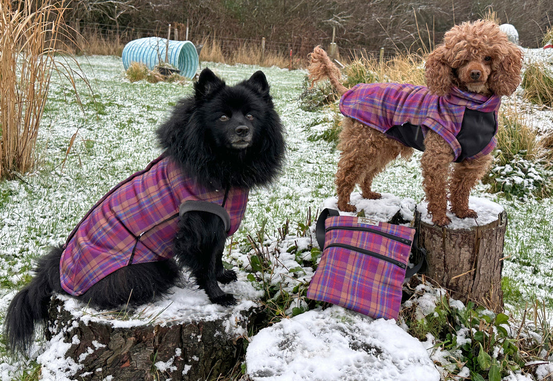 Nevis McTog - Microfleece Waterproof Dog Coat - Step In Poppers