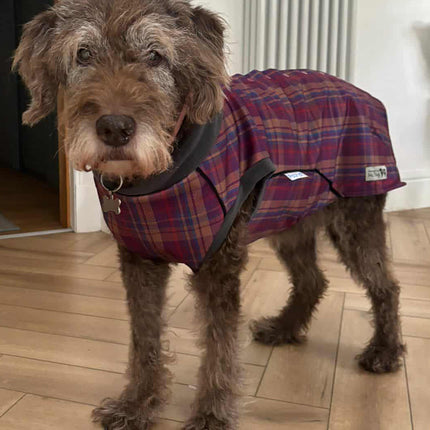 Nevis McTog - Microfleece Waterproof Dog Coat - Step In Poppers