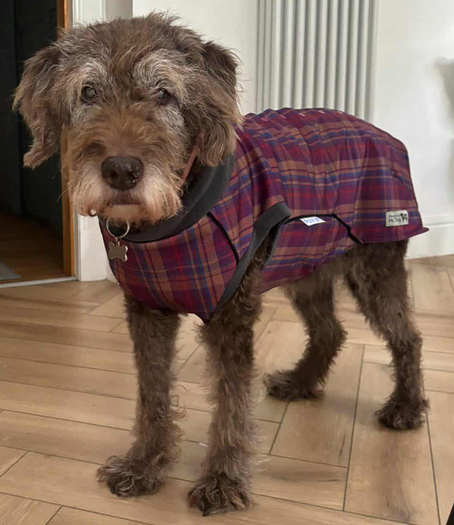 Nevis McTog - Microfleece Waterproof Dog Coat - Step In Poppers