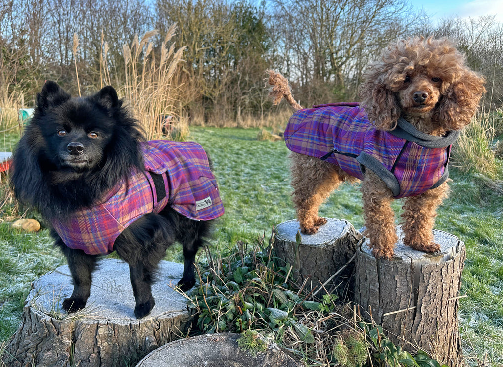 Nevis McTog - Microfleece Waterproof Dog Coat - Step In Poppers