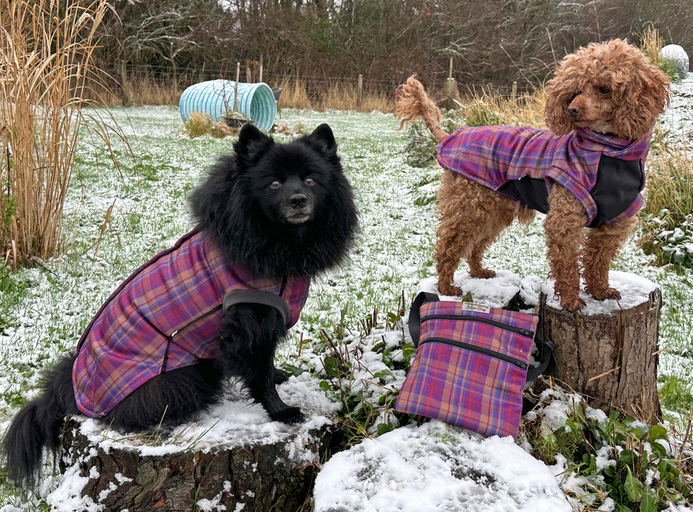 Nevis McTog - Waterproof Microfleece Dog Jumper - Step In Poppers