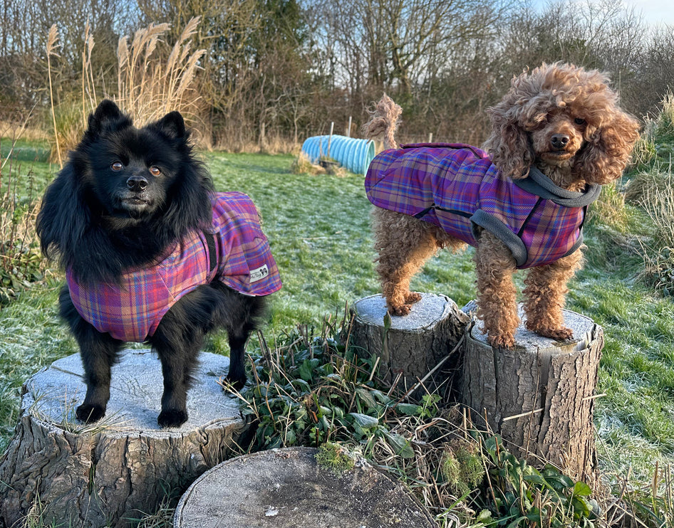 Nevis McTog - Microfleece Waterproof Dog Coat - Step In Poppers