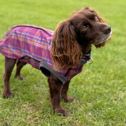 Nevis McTog - Microfleece Waterproof Dog Coat - Step In Poppers
