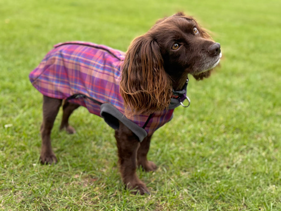 Nevis McTog - Microfleece Waterproof Dog Coat - Step In Poppers