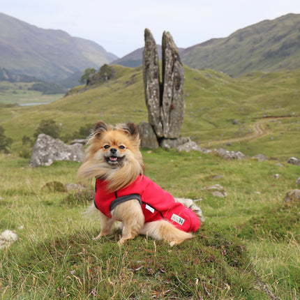 Racing Red McTog - Double Layer Microfleece Waterproof Dog Coat - Step In Poppers