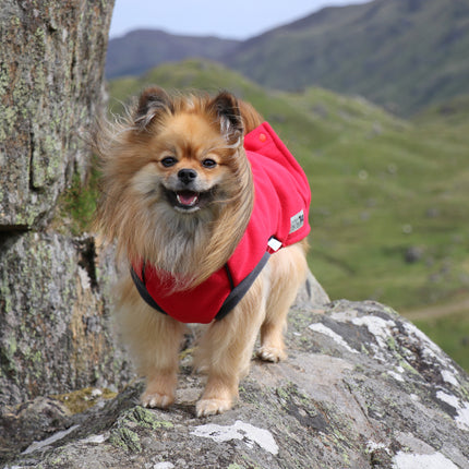 Racing Red McTog - Double Layer Microfleece Waterproof Dog Coat - Step In Poppers