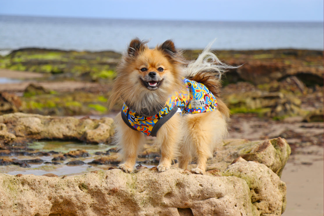 Vibe McTog - Microfleece Waterproof Dog Coat - Back Poppers