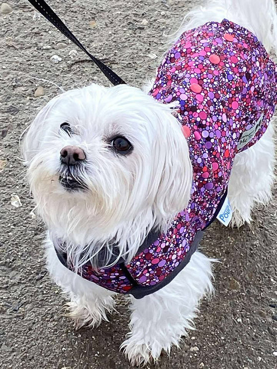 Planet Pink McTog - Microfleece Waterproof Dog Coat - Step In Poppers