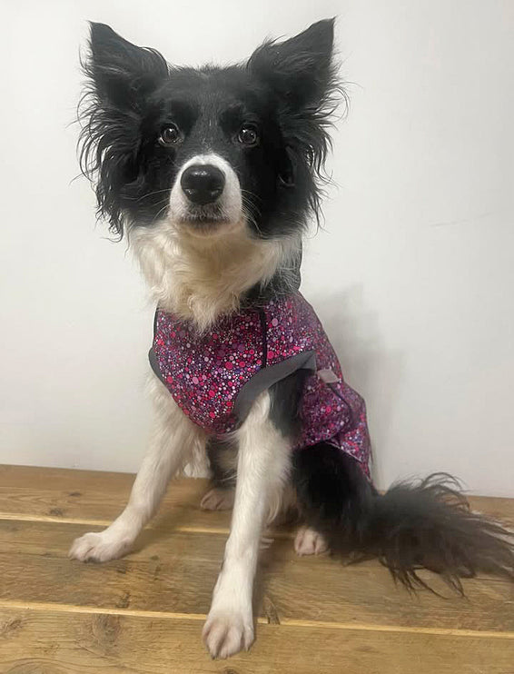 Planet Pink McTog - Microfleece Waterproof Dog Coat