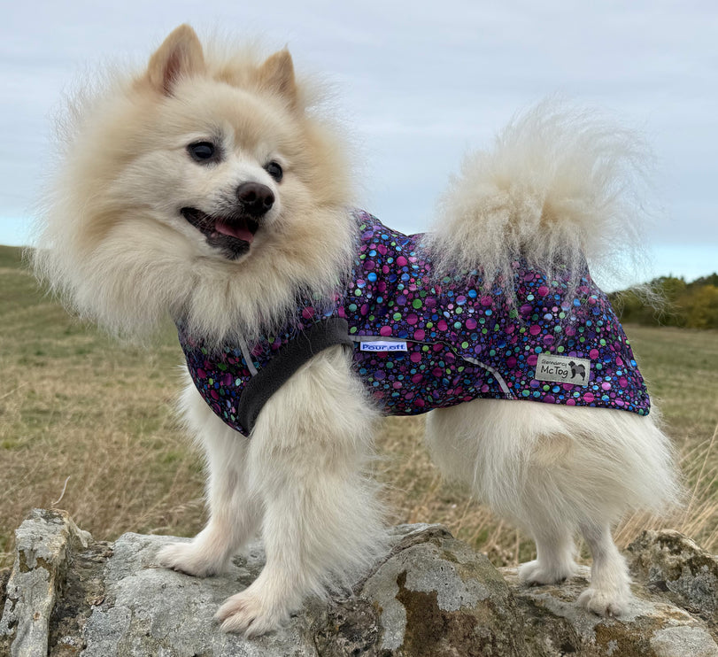 Glenndarcy Pour Off Bubblicious waterproof microfleece dog coat
