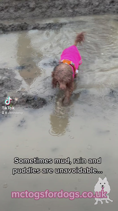 Cobalt Blue McTog - Double Layer Microfleece Waterproof Dog Coat - Step In Poppers