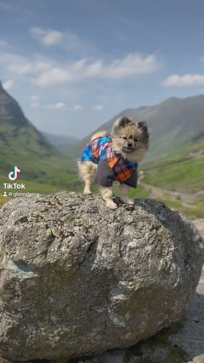 The Highlander McTog - Microfleece Waterproof Dog Jumper - With Sleeves - Step In Poppers