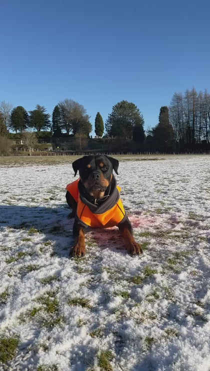 Jaffa McTog - Double Layer Microfleece Waterproof Dog Coat - Back Poppers