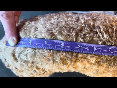 The Bee's Knees McTog - Microfleece Waterproof Dog Jacket - Step In Poppers