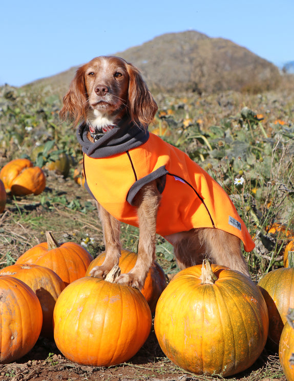 Jaffa McTog - Double Layer Microfleece Waterproof Dog Coat - Back Poppers