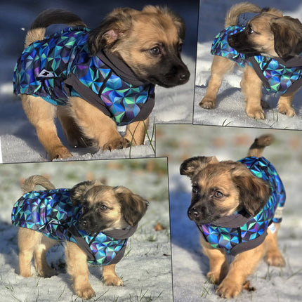 Infinity McTog - Microfleece Waterproof Dog Jumper - Step In Poppers