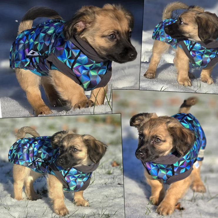 Infinity McTog - Microfleece Waterproof Dog Jumper - Step In Poppers