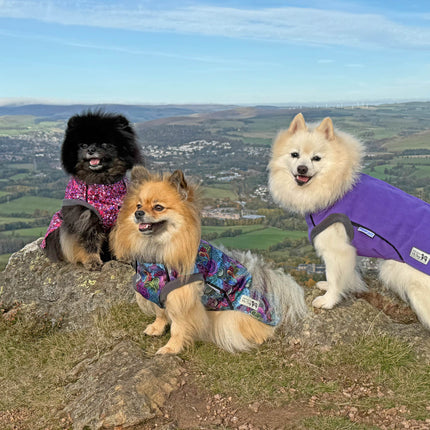 Purple McTog - Double Layer Microfleece Waterproof Dog Jacket - Step In Poppers