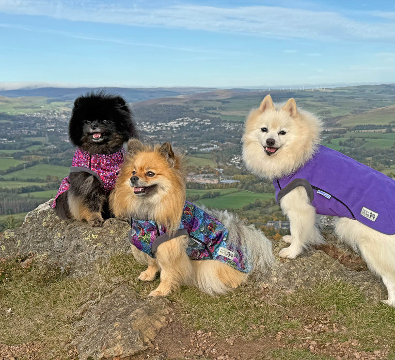 Purple McTog - Double Layer Microfleece Waterproof Dog Jacket - Step In Poppers