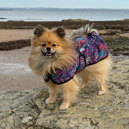 Glenndarcy RainHug Bohemian waterproof dog coat with reflective piping and harness access