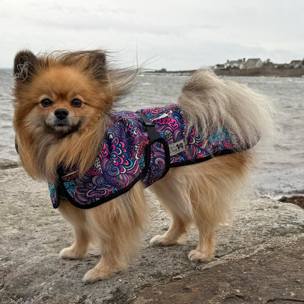 RainHug waterproof dog coat with covered harness slot for a harness worn underneath