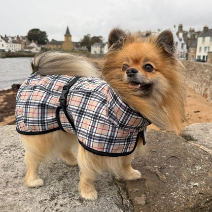 Glenndarcy RainHug Harris waterproof dog coat with reflective piping and harness access