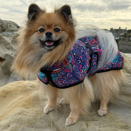 Glenndarcy RainHug waterproof dog coat with extended body and rear coverage
