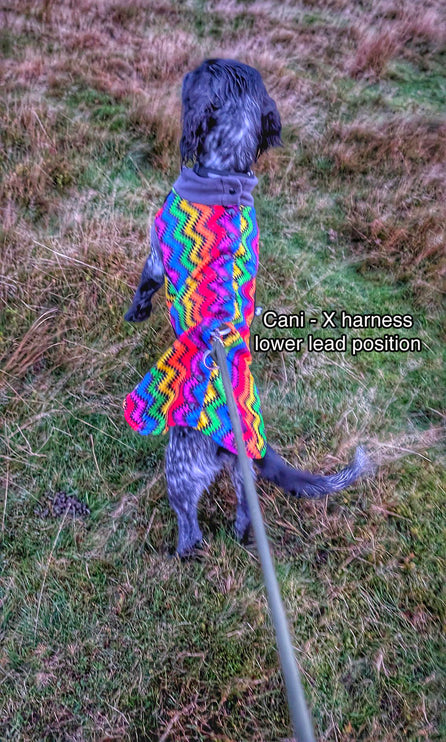 Rave McTog - Microfleece Waterproof Dog Coat - Step In Poppers